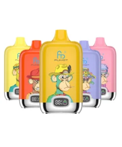 Fumot 12000 Digital Box 12000 Einweg-Vape – (1 Vape)